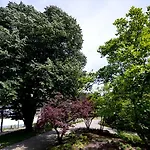 Pensionat Casa Da Vizela