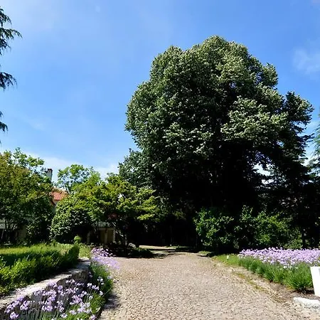 ゲストハウス Casa Da