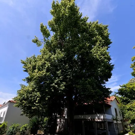 Casa Da بيت ضيافة