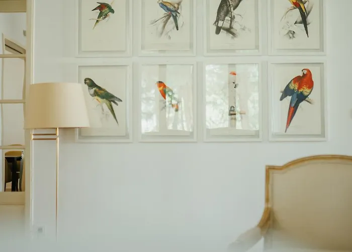 Casa Da בית הארחה ויזלה