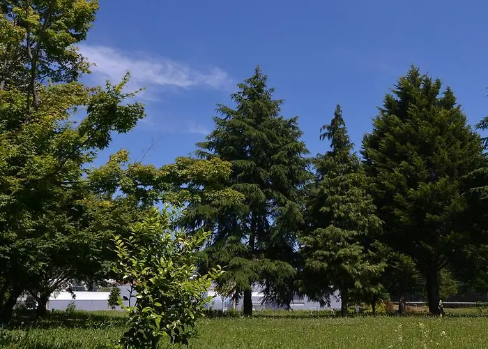 Casa Da فيزيلا