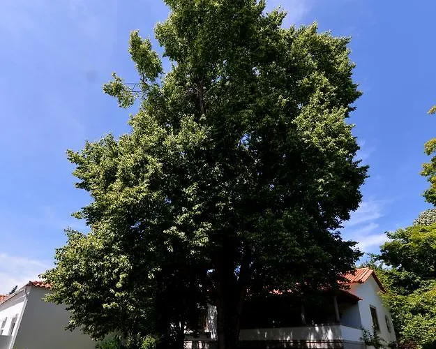 Casa Da بيت ضيافة