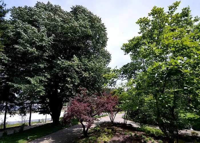 בית הארחה Casa Da ויזלה